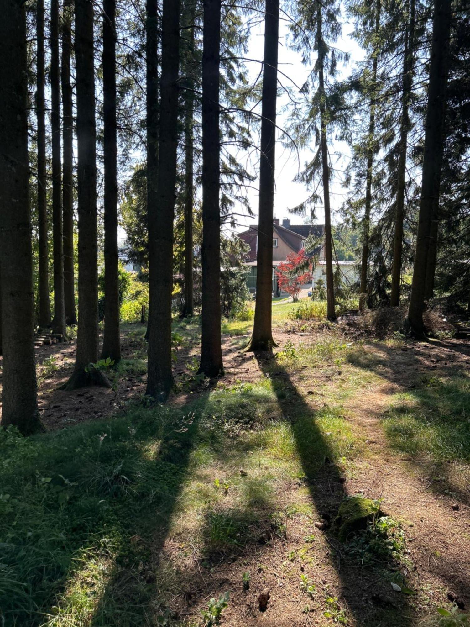Bergwiesenblick38678 Clausthal-Zellerfeld Kültér fotó