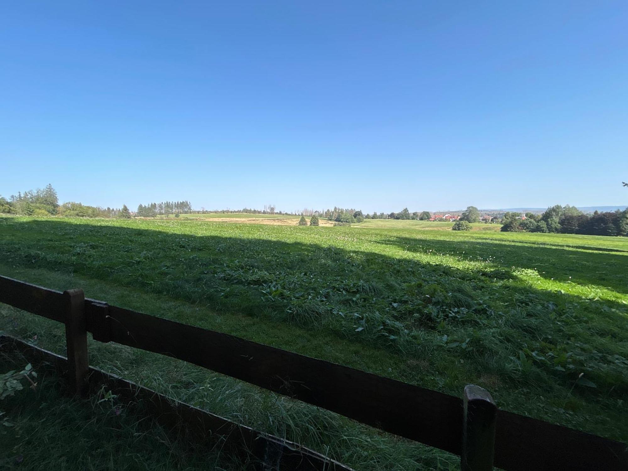 Bergwiesenblick38678 Clausthal-Zellerfeld Kültér fotó